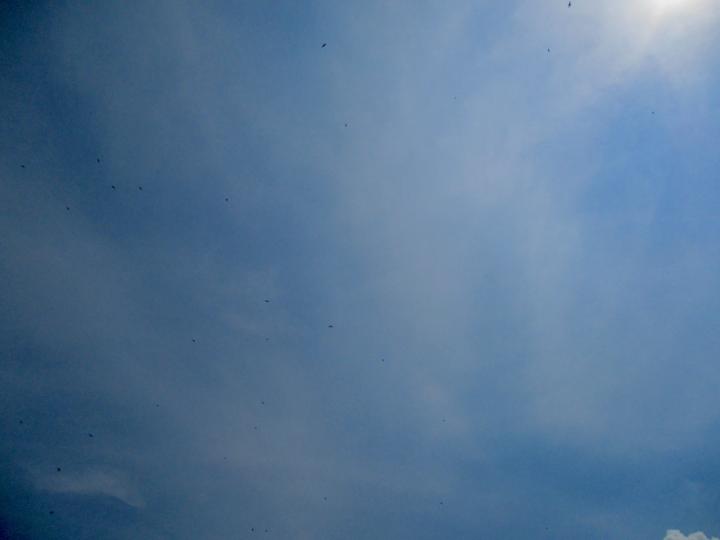 «Die Hitze ist ein stiller Killer»